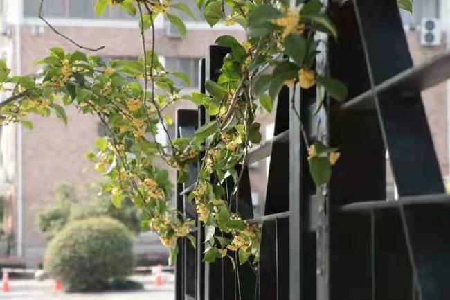 微信图片_20211102124739.jpg 微信图片_20211102124739.jpg