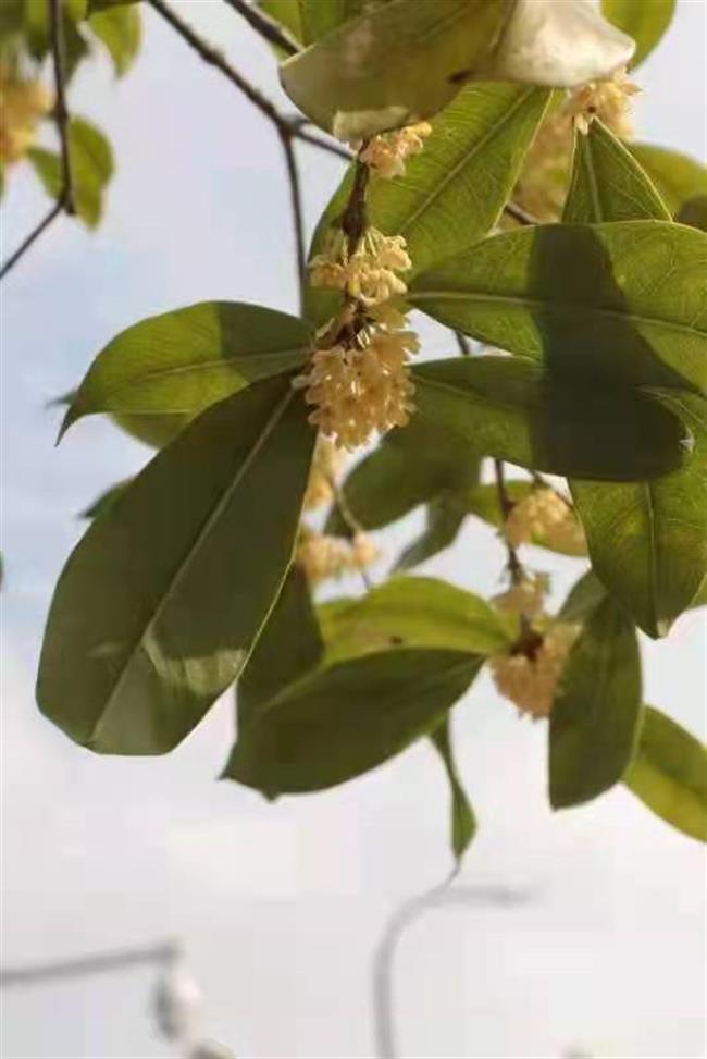 微信图片_20211102124745.jpg 微信图片_20211102124745.jpg