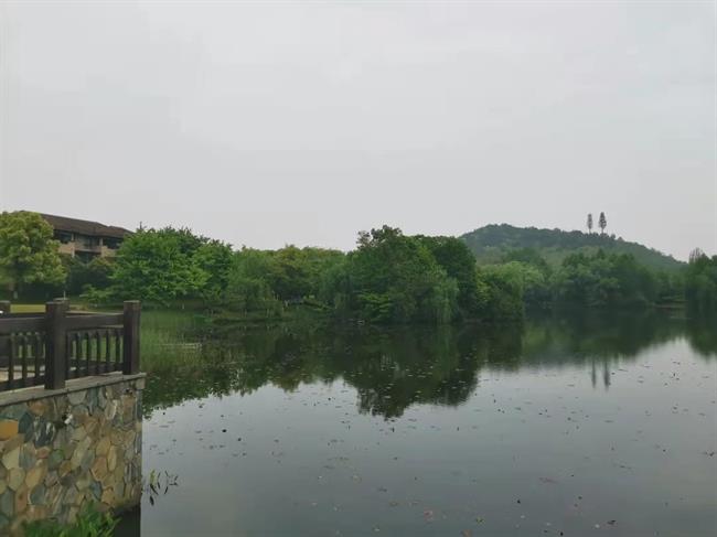 4311619361825_.pic.jpg 4311619361825_.pic.jpg